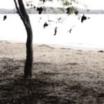 There's No Leaving Now