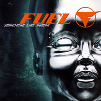 Something Like Human