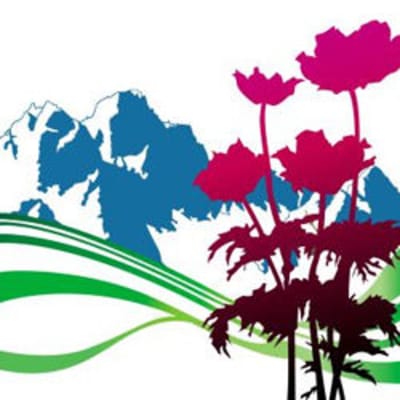 International - The Best of New Order