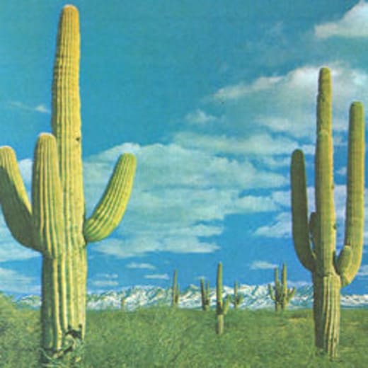 The State of the Art Is On Fire