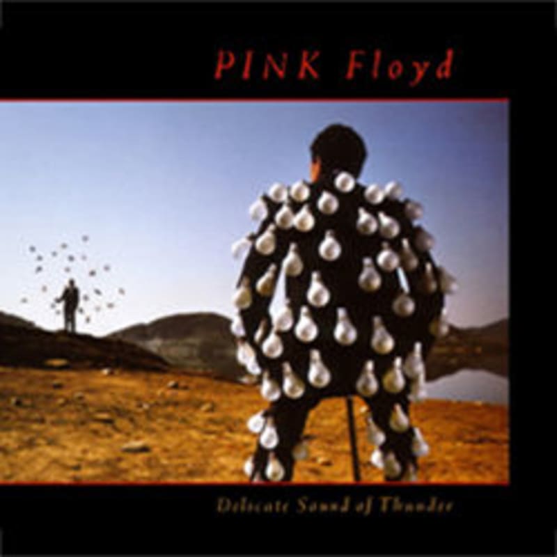 Delicate Sound of Thunder