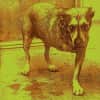 Alice in Chains - Alice in Chains