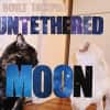 Built to Spill - Untethered Moon