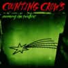 Counting Crows - Recovering the Satellites