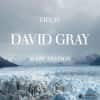 David Gray - Life in Slow Motion