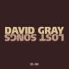 David Gray - Lost Songs