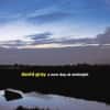 David Gray - A New Day at Midnight