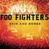 Foo Fighters - Skin & Bones