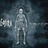 Gojira - The Way of All Flesh