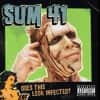 Sum 41 - Does This Look Infected?