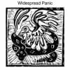 Widespread Panic - Widespread Panic