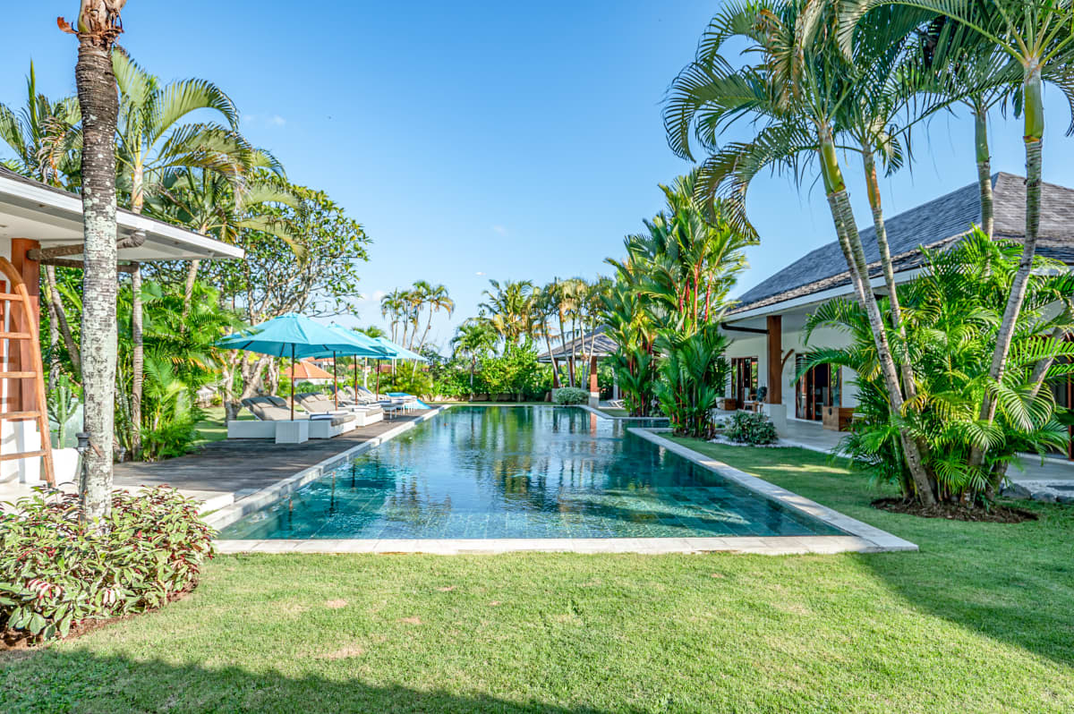 A view of the clear blue lap pool surrounded by green lawns and palm trees