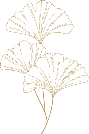 illustration feuille de ginkgo symbolisant l’équilibre, la vitalité et le bien-être naturel