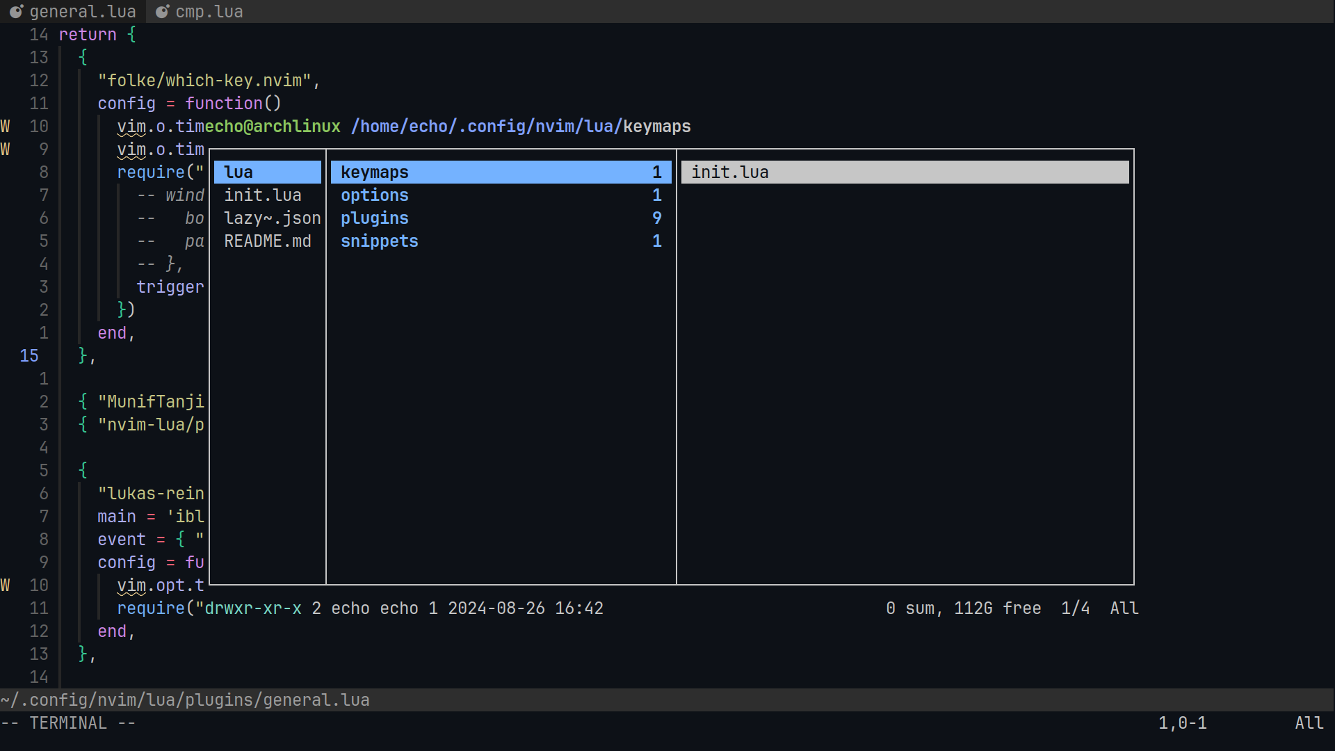 Neovim picture
