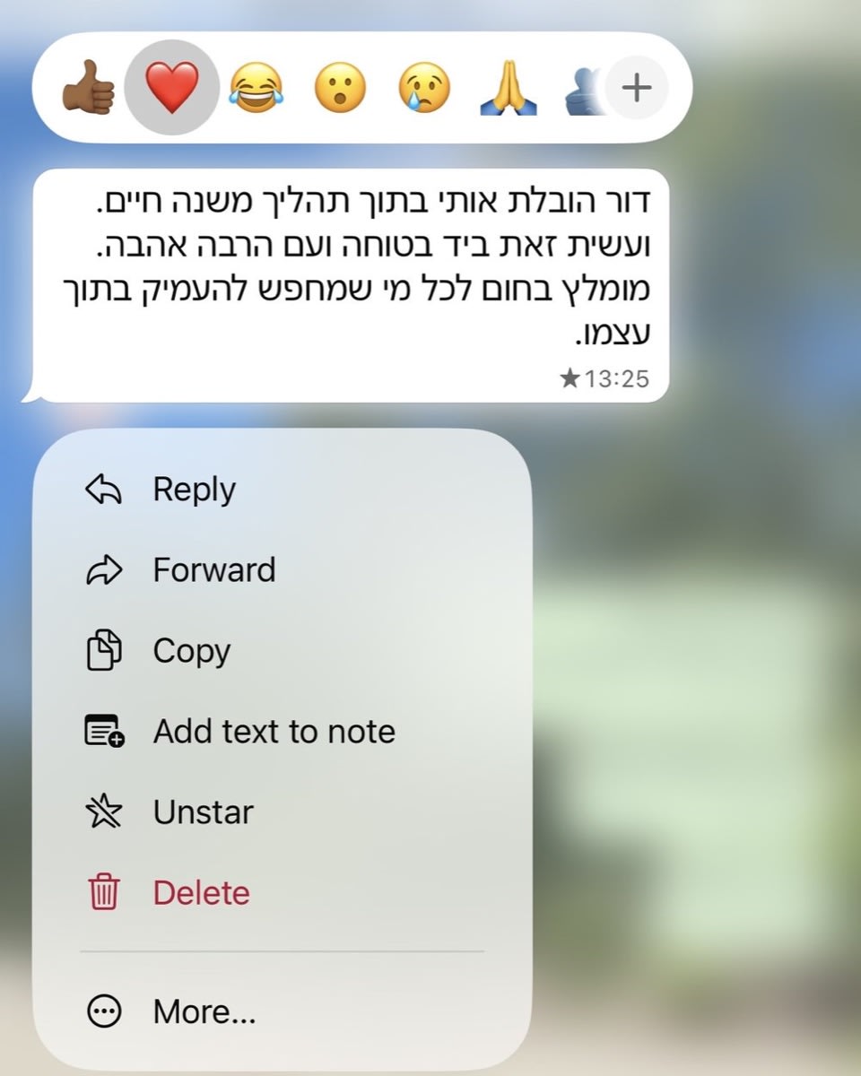 המלצה