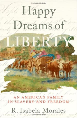 image for Happy Dreams of Liberty - review