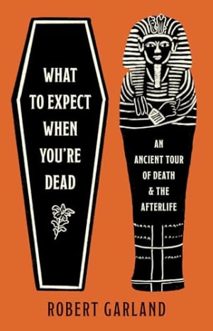 image for What to Expect When You're Dead - review