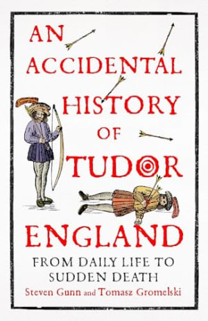 image for An Accidental History of Tudor England - review