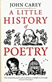 A Little History of Poetry (Little Histories)