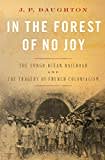 In the Forest of No Joy: The Congo-Océan Railroad and the Tragedy of French Colonialism