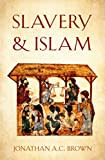 Slavery and Islam Slavery and Islam