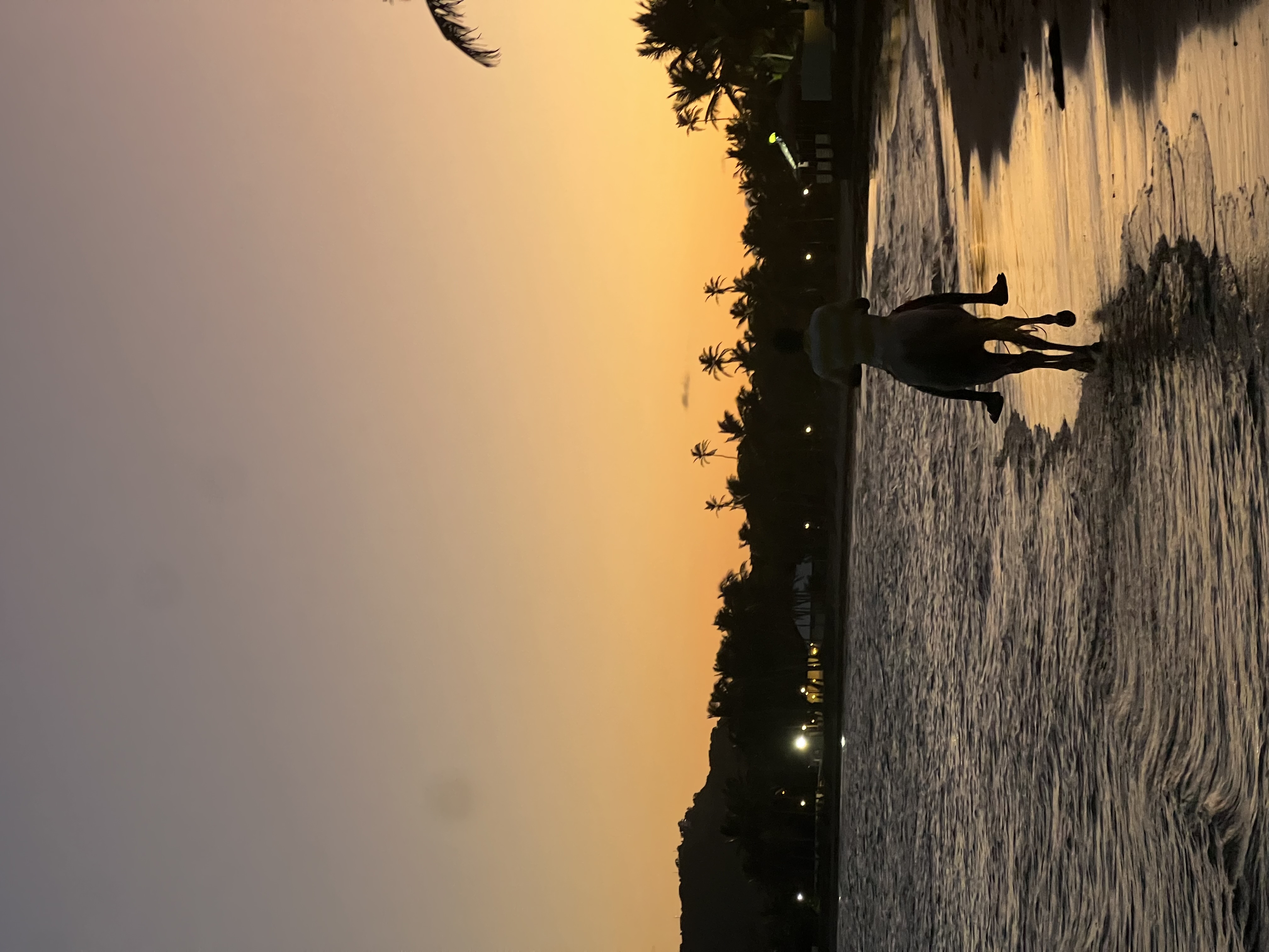 Travel adventure