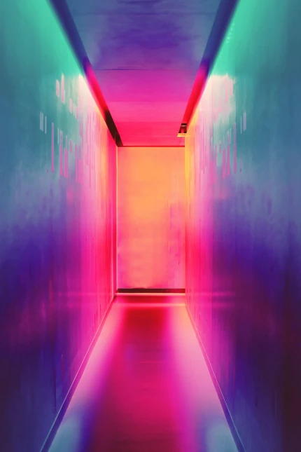efe-kurnaz-unsplash