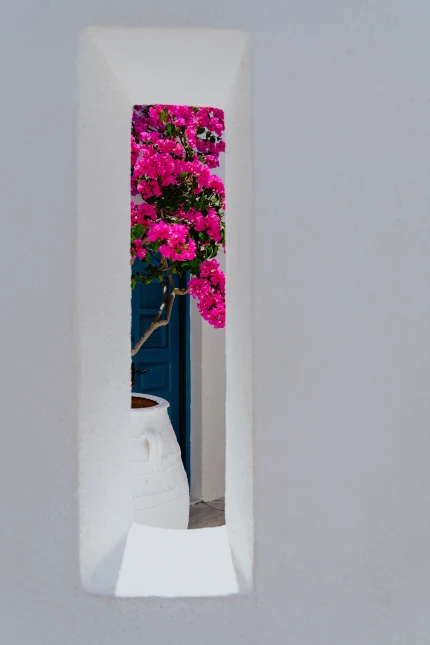 xuan-nguyen-unsplash