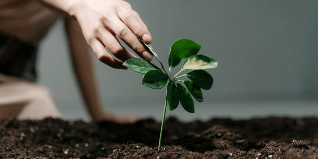 Un hôtel de luxe arborant fièrement le label Clef Verte, symbole d'un engagement environnemental pionnier