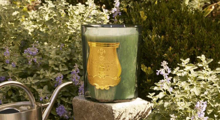 Le nouveau souffle de la maison Trudon par Hugo Ferroux - Actualités du luxe - actualités sur le luxe - actualité du luxe