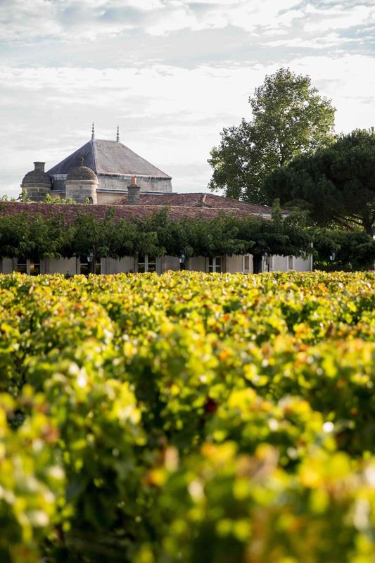 Le Cordeillan: la renaissance gastronomique d'exception au cœur du Médoc - Actualités du luxe - actualités sur le luxe - actualité du luxe
