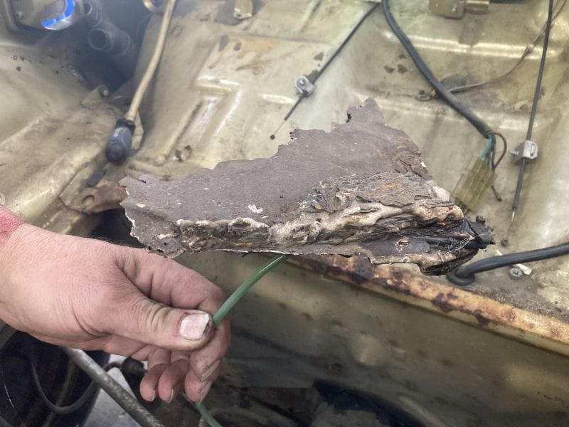 Sarah's 74 Sunbug Standard