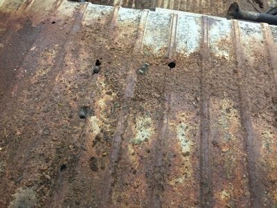 Kim &amp; Ryan's '67 21