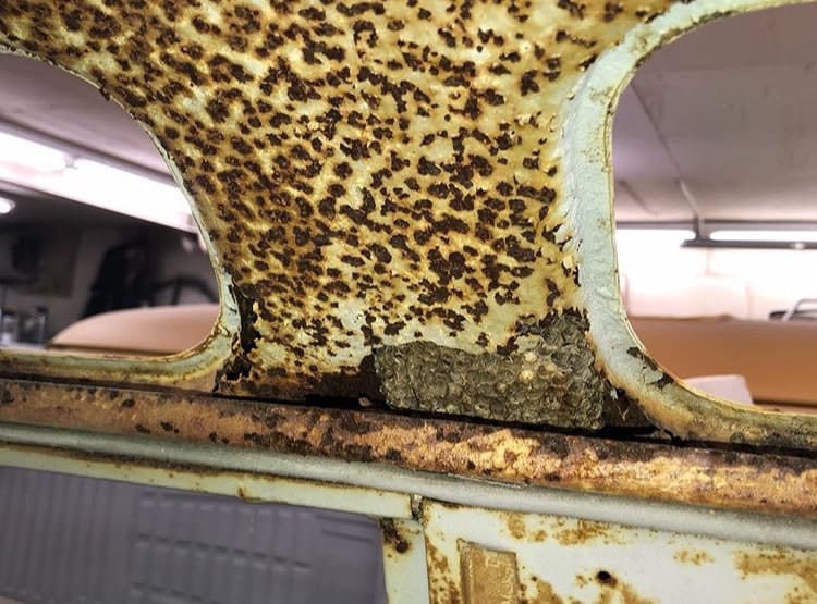 Kim &amp; Ryan's '67 21