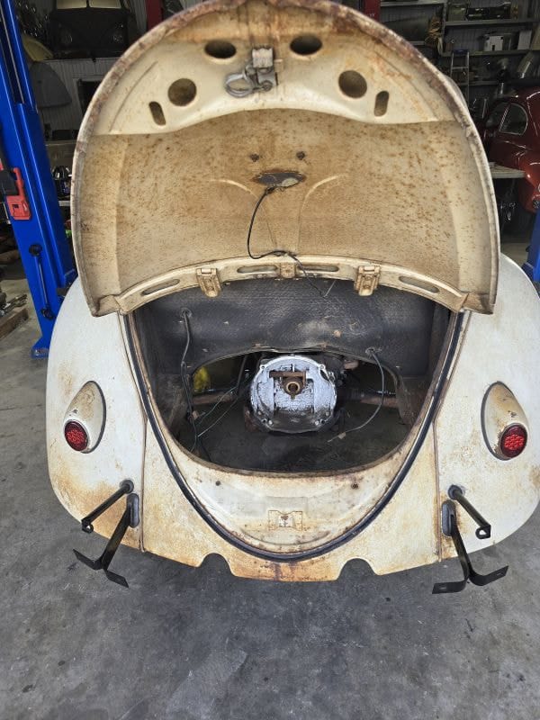 Richard's '61 Beetle