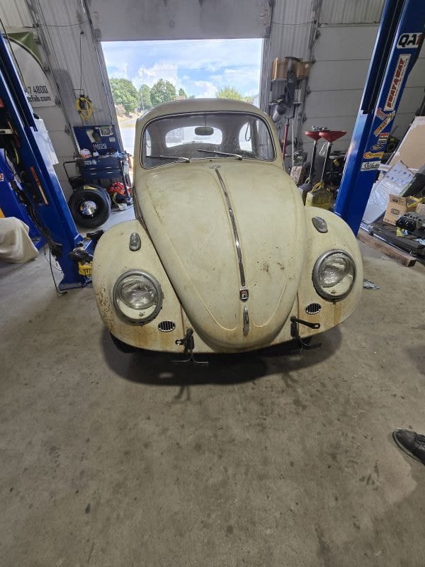 Richard's '61 Beetle