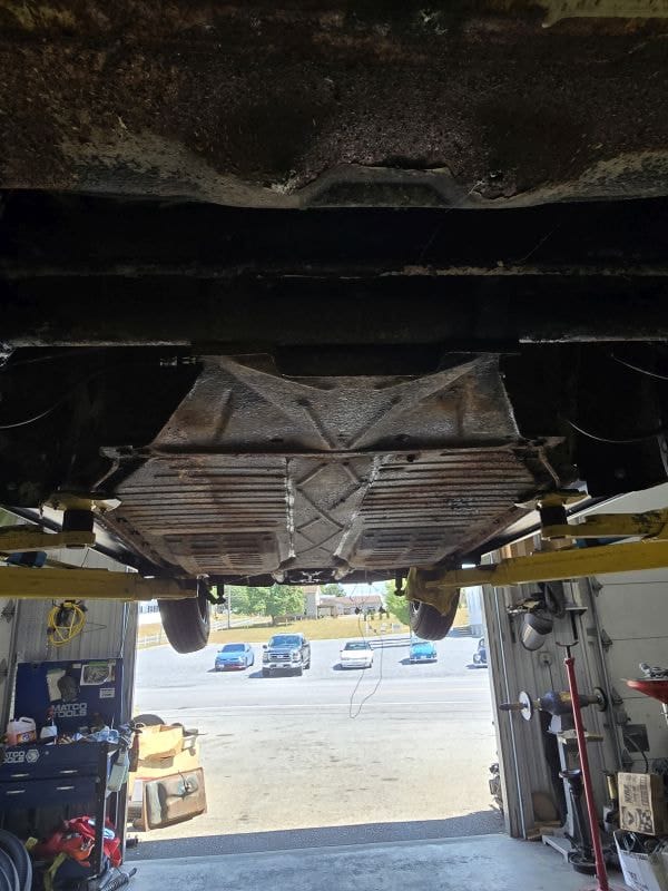 Richard's '61 Beetle