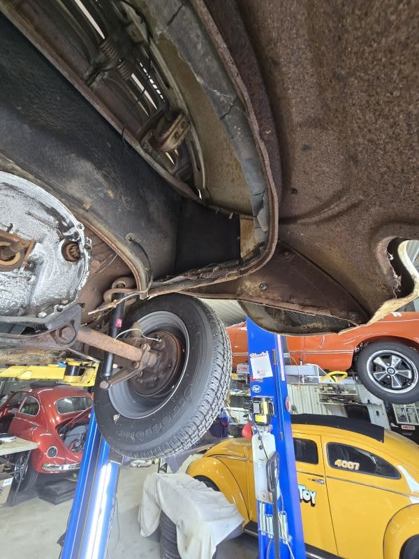 Richard's '61 Beetle