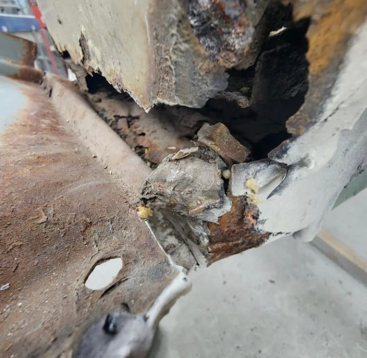 Sarah's 74 Sunbug Standard