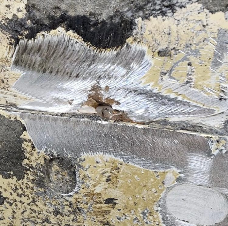 Sarah's 74 Sunbug Standard