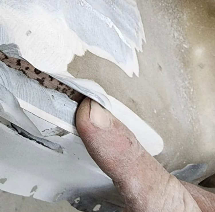 Sarah's 74 Sunbug Standard