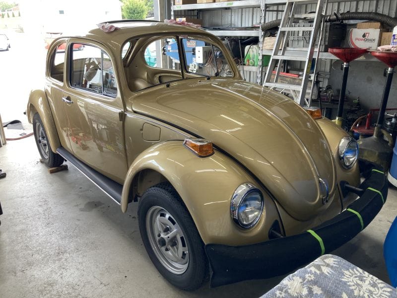 Sarah's 74 Sunbug Standard