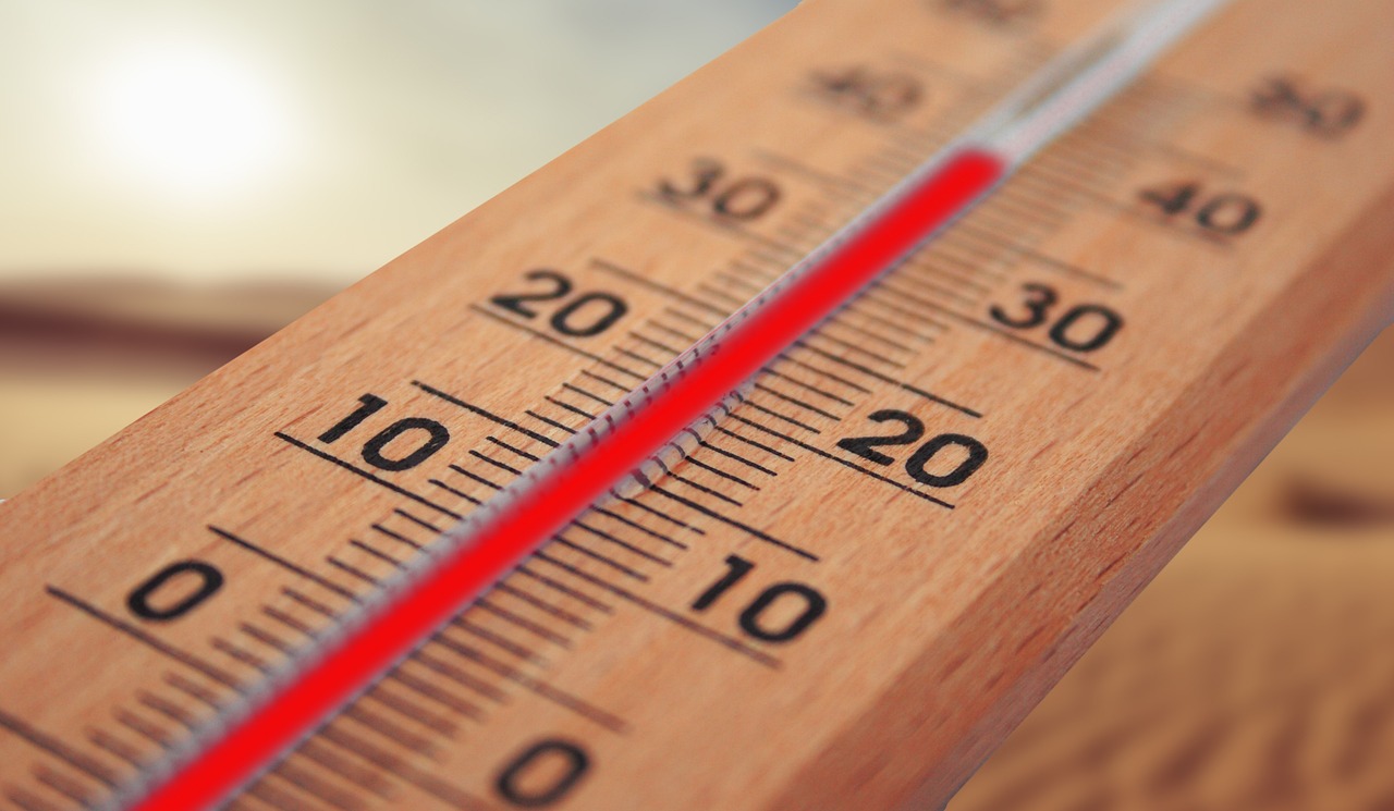 Heat wave impact on health with rising hospital admissions due to heat - related illnesses in Canada.