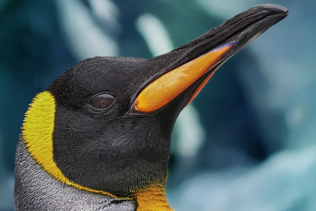 Cons of trading goalie Nedeljkovic for Penguins goalie depth and team strategy challenges.
