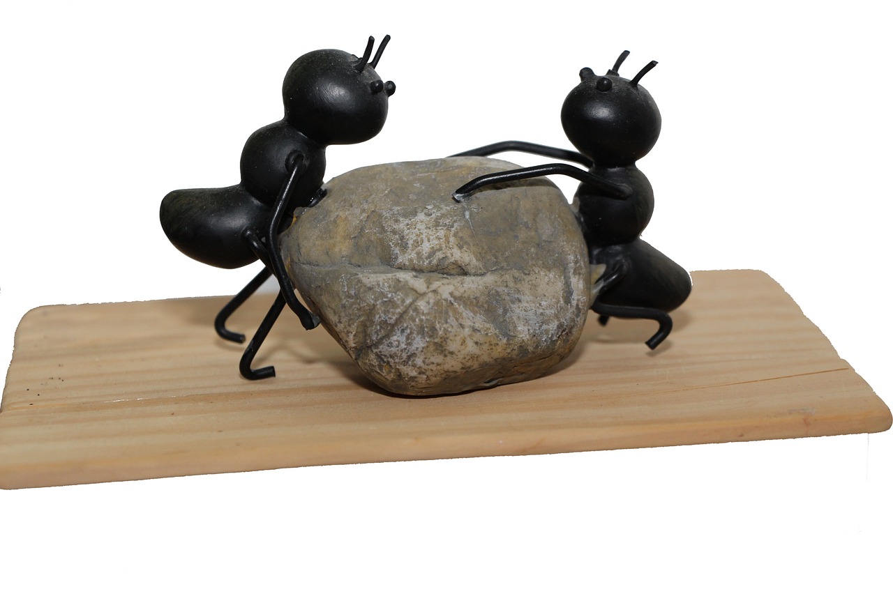 7 Steps for Successful LMS Implementation Plan Guide.