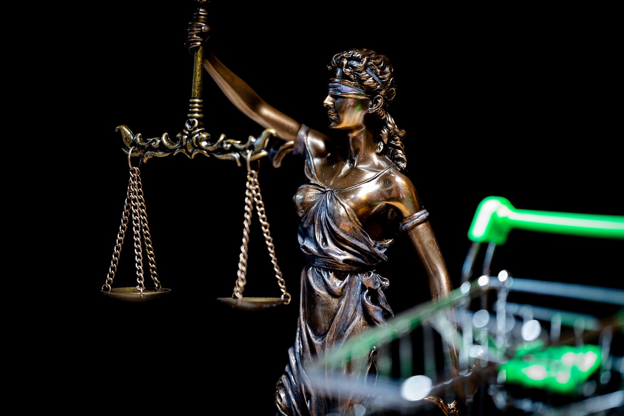 Legal precedent supports nationwide age verification laws.