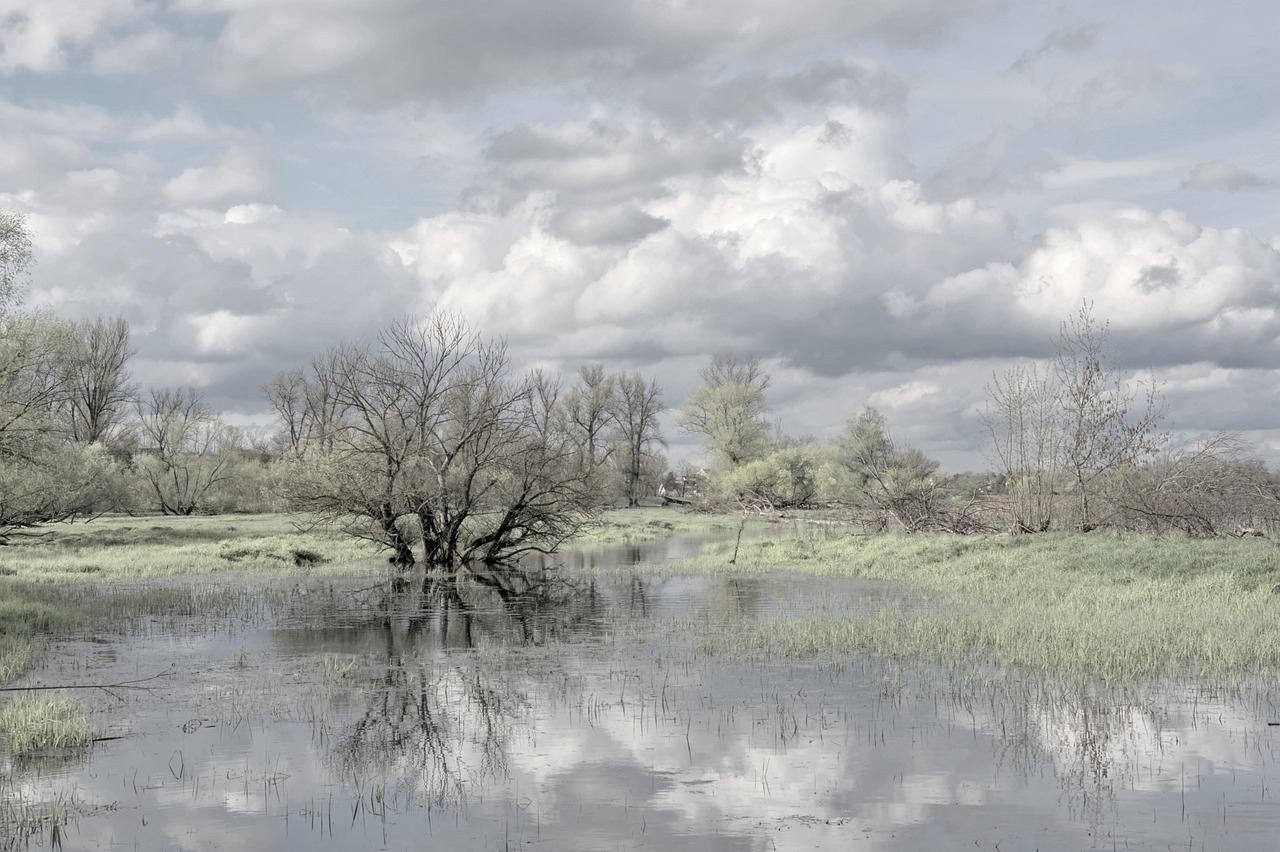 Flood warning system criticisms by Texas flood survivors.