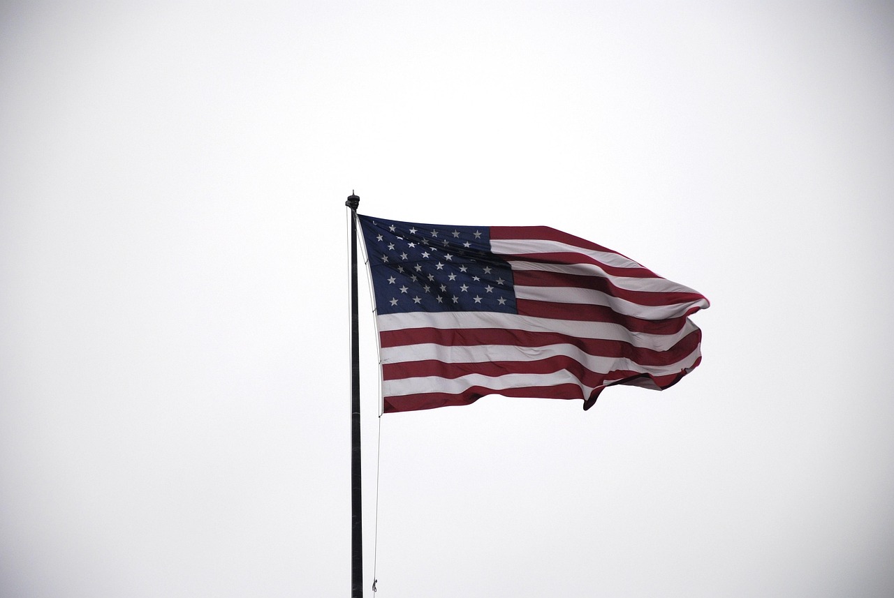 America Party future prospects under Elon Musk's leadership.