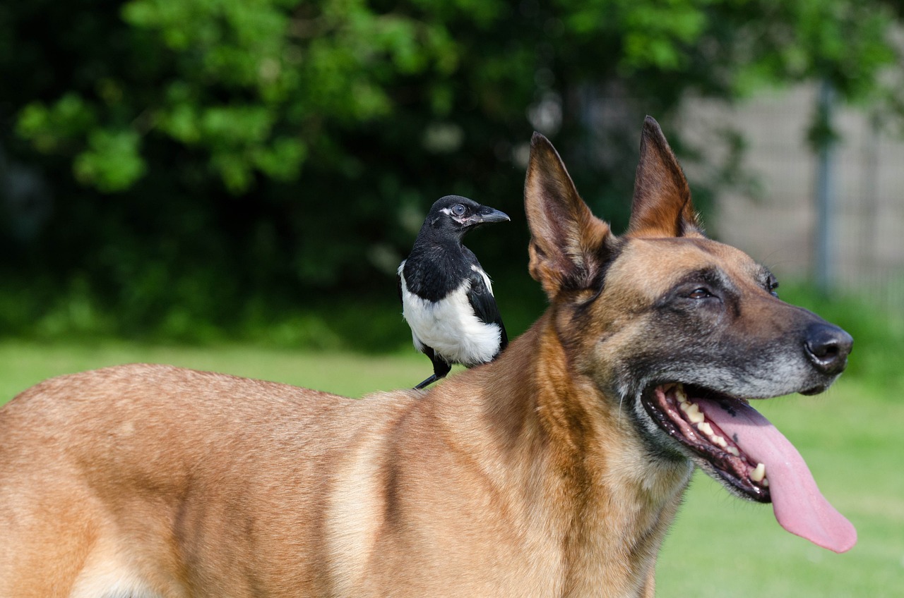 Balancing honesty and kindness in sensitive friendship talks.