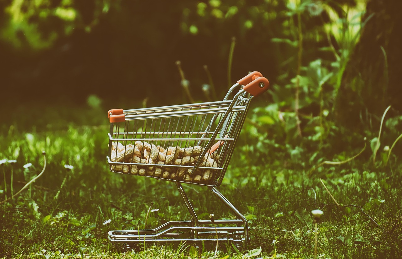 Product feed optimization for better Shopping Ads results.